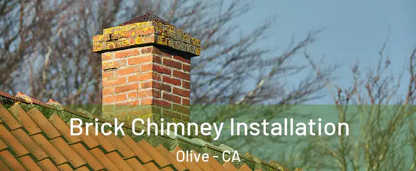 Brick Chimney Installation Olive - CA