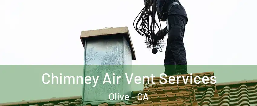 Chimney Air Vent Services Olive - CA