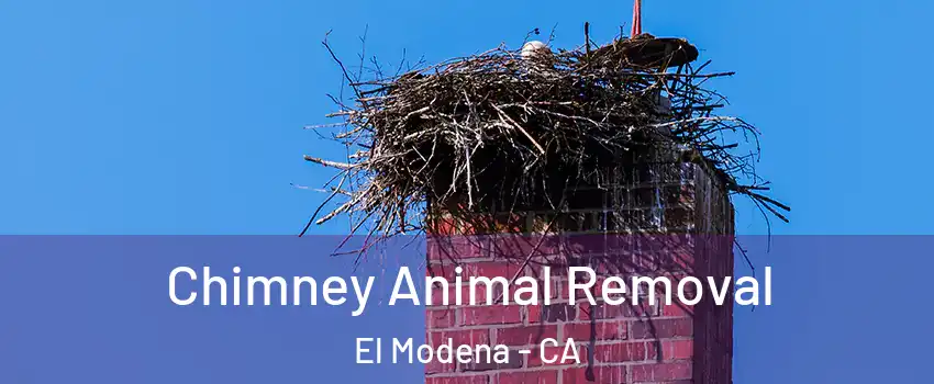 Chimney Animal Removal El Modena - CA