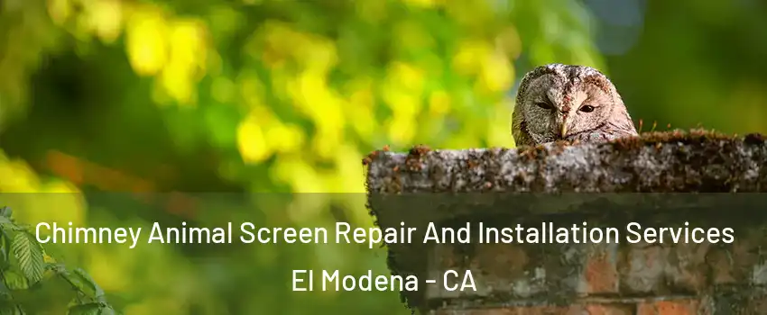 Chimney Animal Screen Repair And Installation Services El Modena - CA