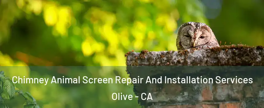 Chimney Animal Screen Repair And Installation Services Olive - CA