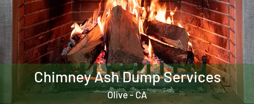 Chimney Ash Dump Services Olive - CA