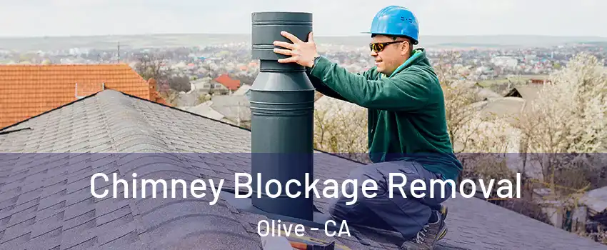 Chimney Blockage Removal Olive - CA