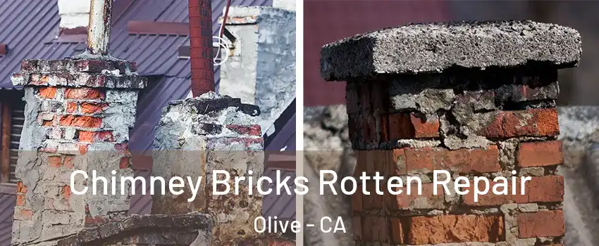 Chimney Bricks Rotten Repair Olive - CA