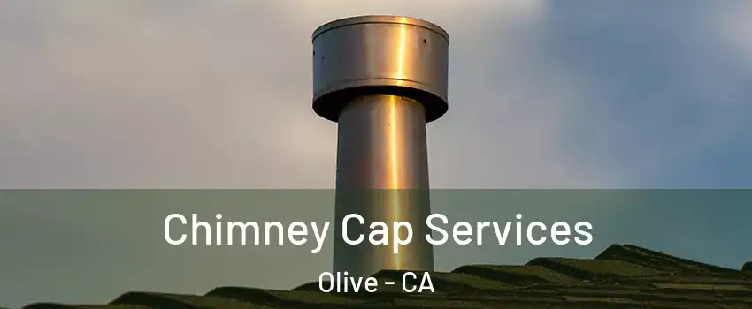 Chimney Cap Services Olive - CA