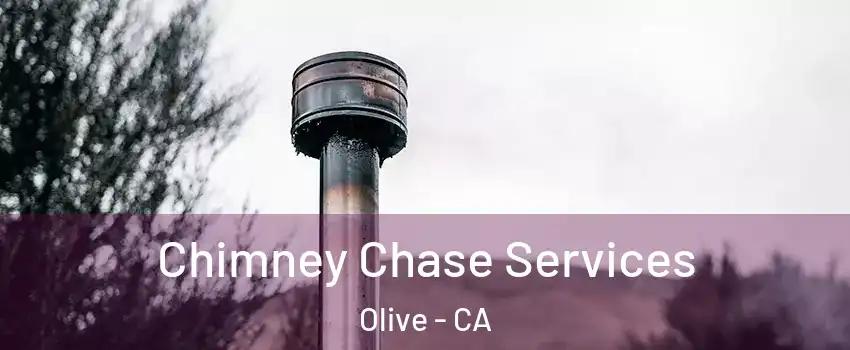 Chimney Chase Services Olive - CA