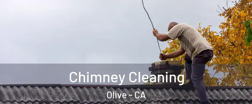 Chimney Cleaning Olive - CA