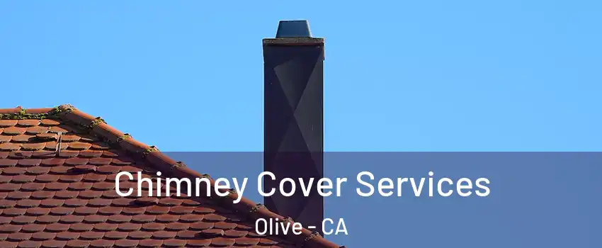 Chimney Cover Services Olive - CA