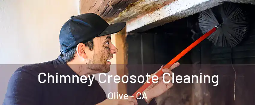 Chimney Creosote Cleaning Olive - CA