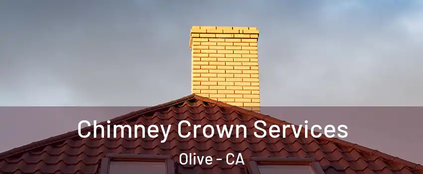 Chimney Crown Services Olive - CA