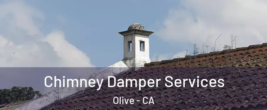 Chimney Damper Services Olive - CA