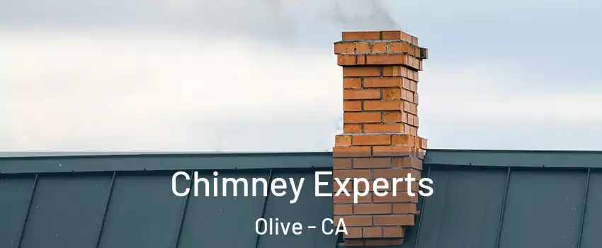 Chimney Experts Olive - CA