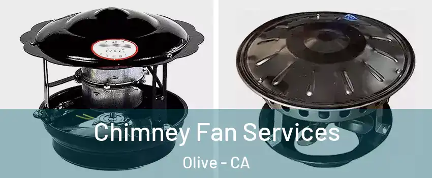 Chimney Fan Services Olive - CA