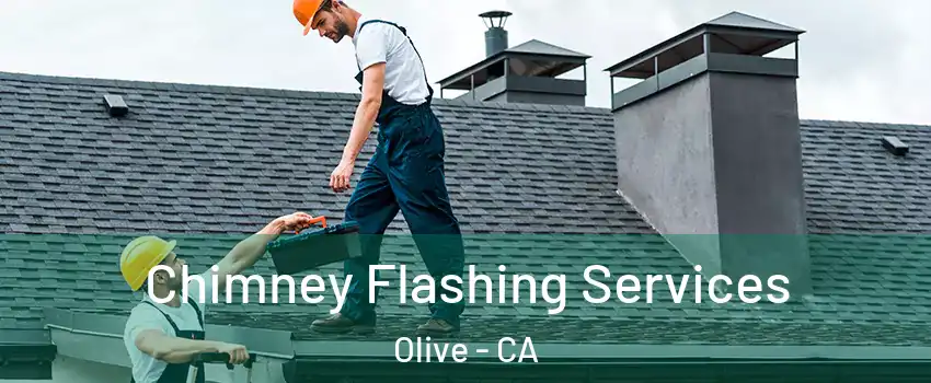 Chimney Flashing Services Olive - CA