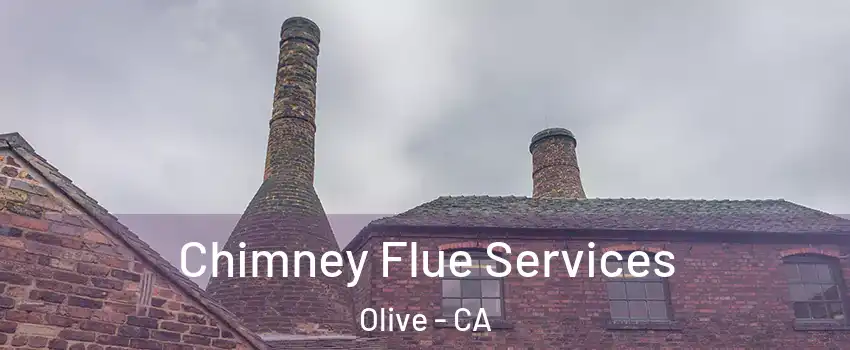 Chimney Flue Services Olive - CA