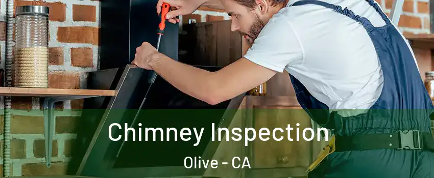 Chimney Inspection Olive - CA