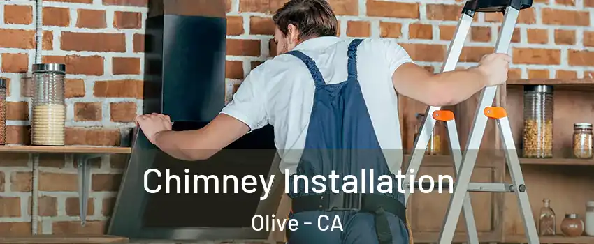 Chimney Installation Olive - CA