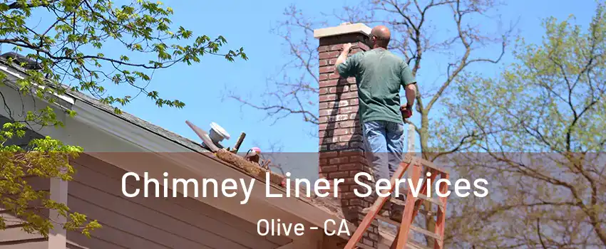 Chimney Liner Services Olive - CA