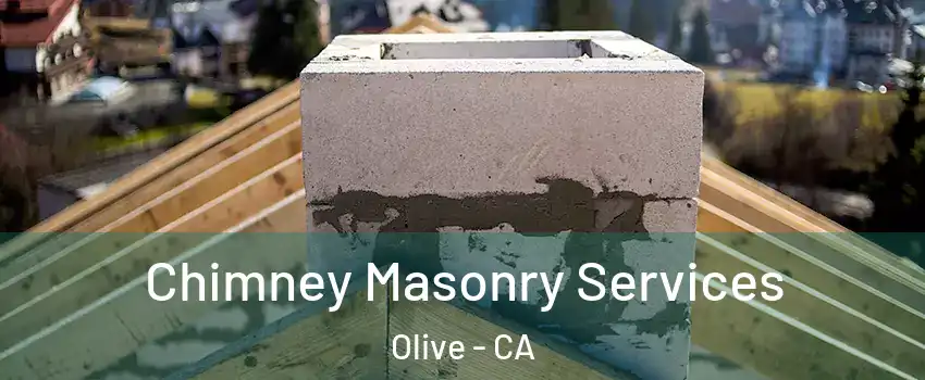 Chimney Masonry Services Olive - CA