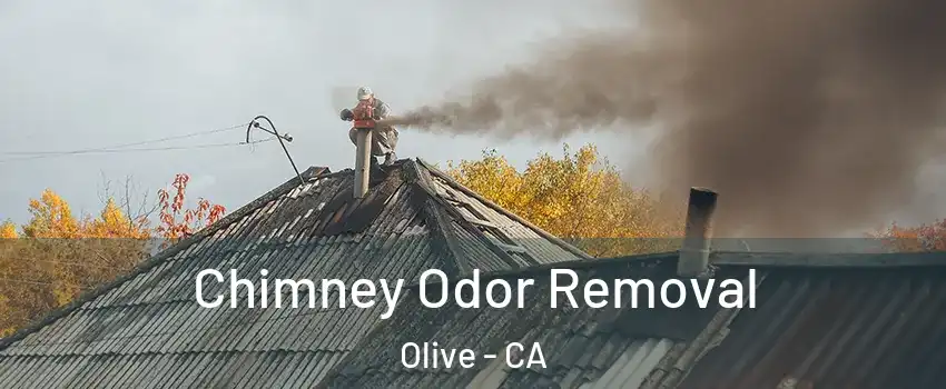 Chimney Odor Removal Olive - CA