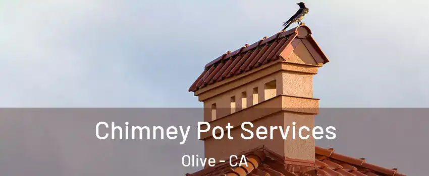 Chimney Pot Services Olive - CA