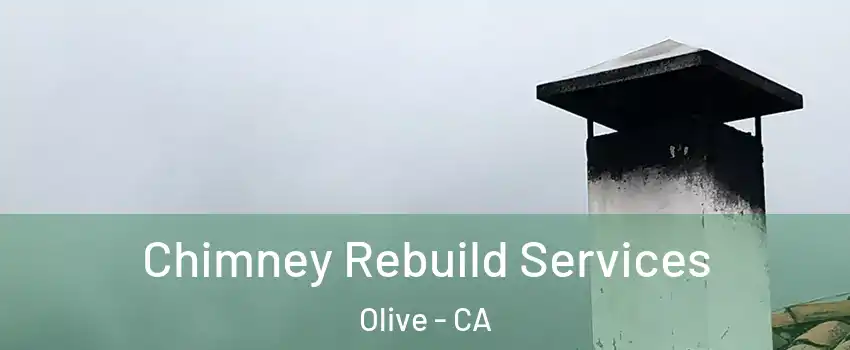 Chimney Rebuild Services Olive - CA