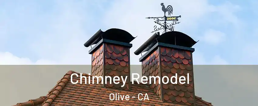 Chimney Remodel Olive - CA