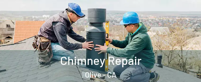 Chimney Repair Olive - CA