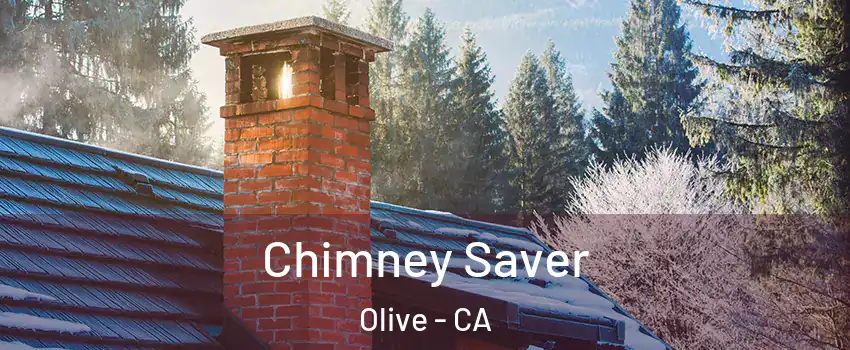 Chimney Saver Olive - CA