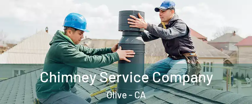 Chimney Service Company Olive - CA