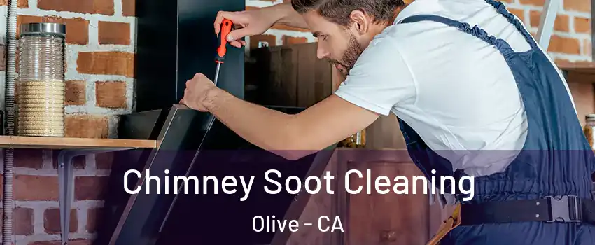 Chimney Soot Cleaning Olive - CA