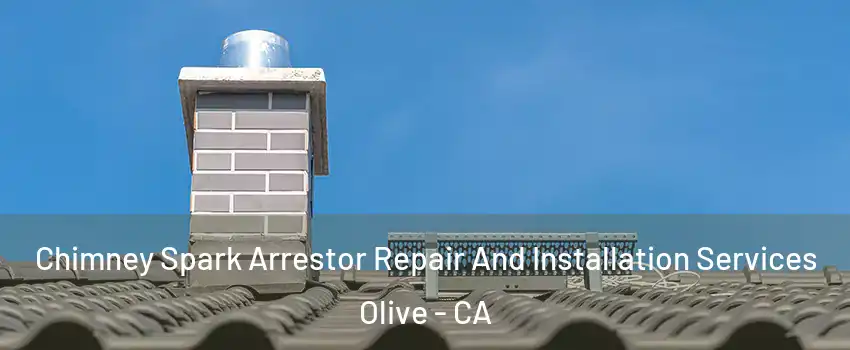 Chimney Spark Arrestor Repair And Installation Services Olive - CA