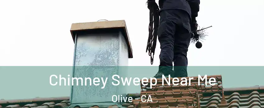 Chimney Sweep Near Me Olive - CA