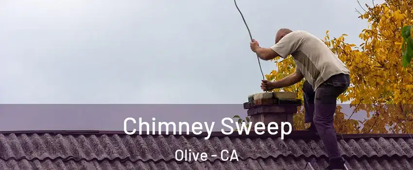 Chimney Sweep Olive - CA