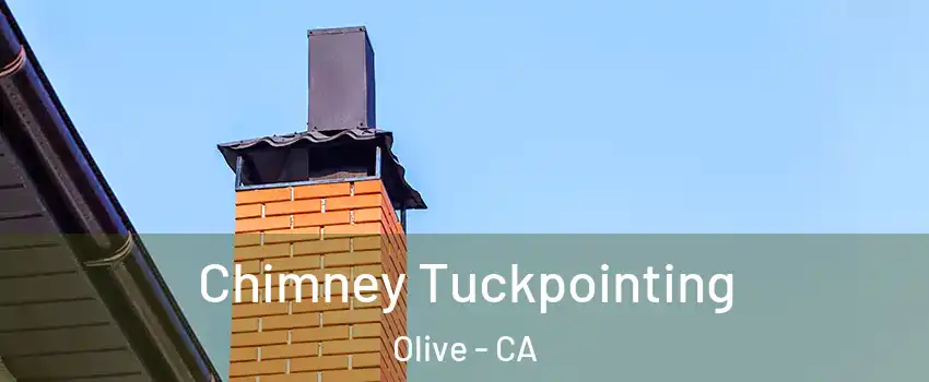 Chimney Tuckpointing Olive - CA