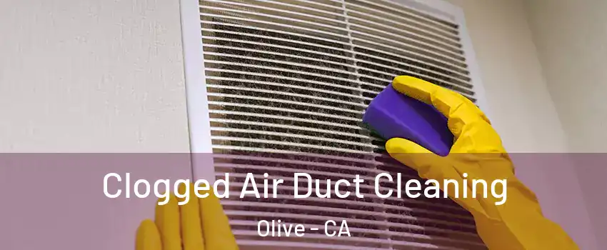 Clogged Air Duct Cleaning Olive - CA