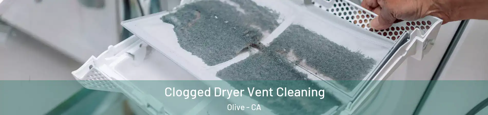 Clogged Dryer Vent Cleaning Olive - CA