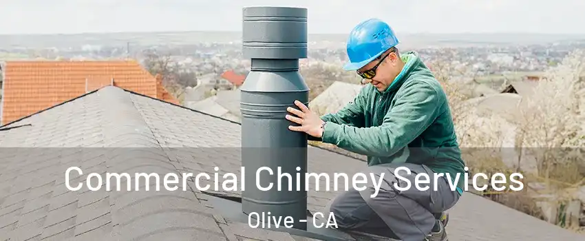 Commercial Chimney Services Olive - CA