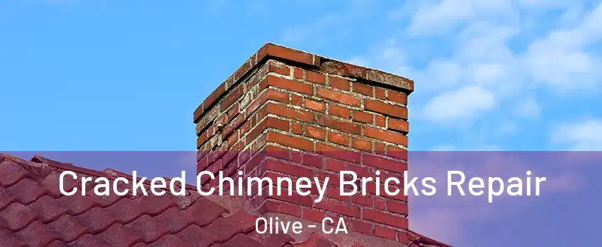 Cracked Chimney Bricks Repair Olive - CA