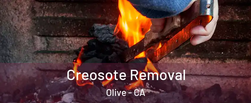 Creosote Removal Olive - CA