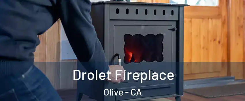 Drolet Fireplace Olive - CA