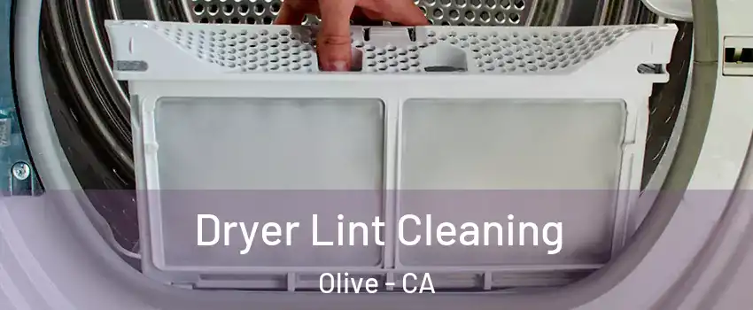 Dryer Lint Cleaning Olive - CA