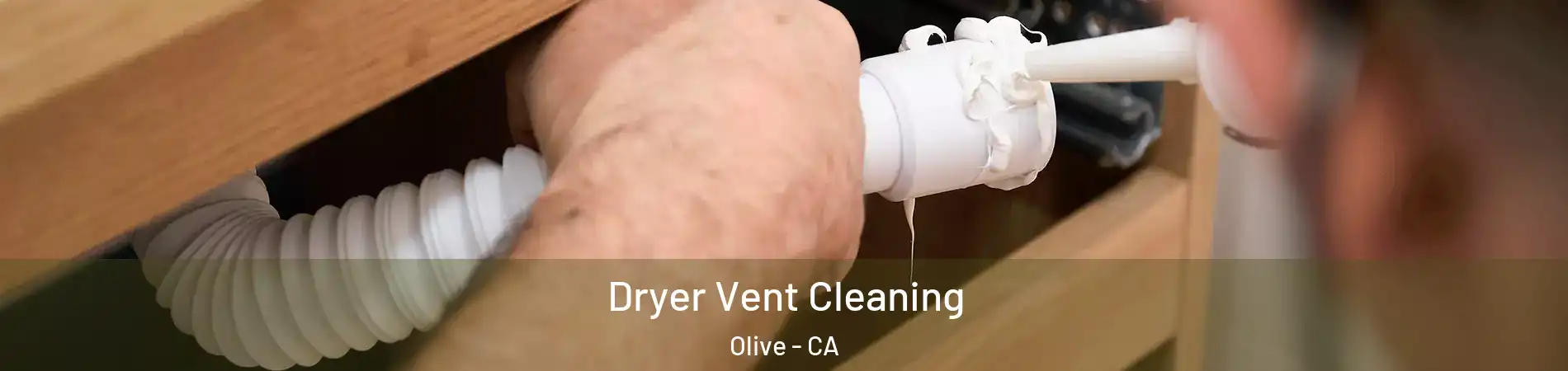 Dryer Vent Cleaning Olive - CA