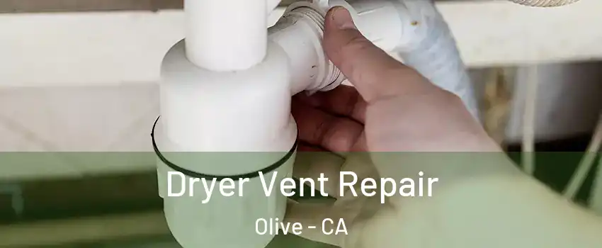 Dryer Vent Repair Olive - CA