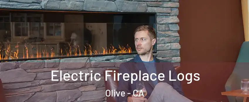 Electric Fireplace Logs Olive - CA