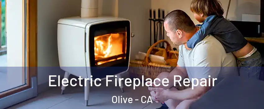 Electric Fireplace Repair Olive - CA