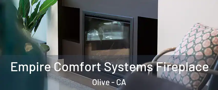 Empire Comfort Systems Fireplace Olive - CA