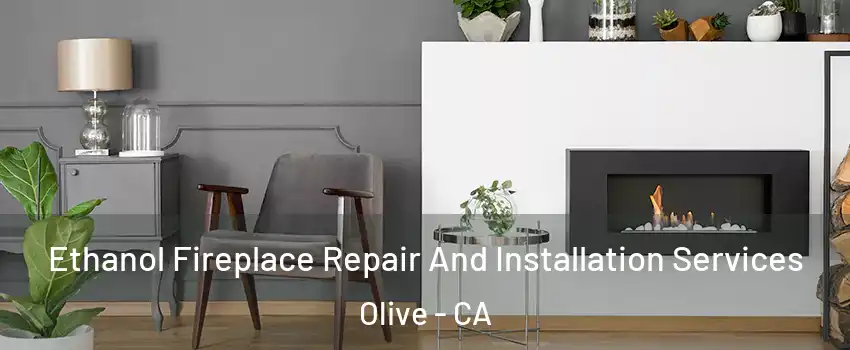 Ethanol Fireplace Repair And Installation Services Olive - CA