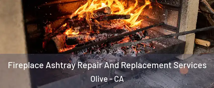 Fireplace Ashtray Repair And Replacement Services Olive - CA