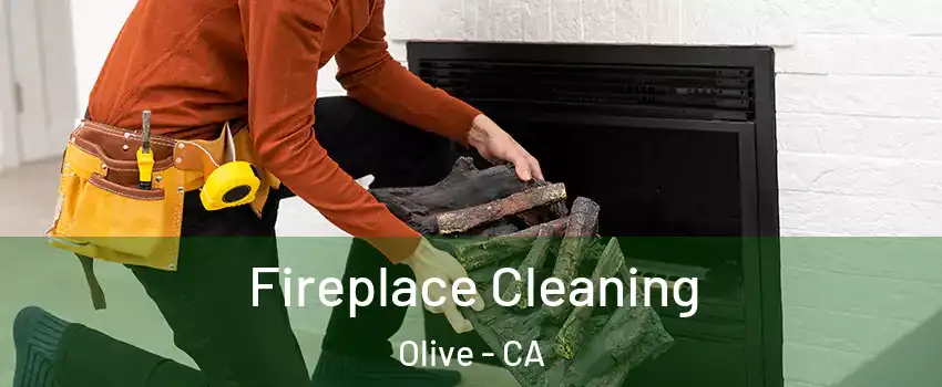 Fireplace Cleaning Olive - CA